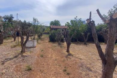 Βαρη Κορμπι μοναδικό οικόπεδο 550τ.μ.