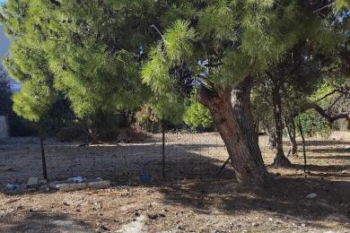 Αξιόλογο οικόπεδο στην Κάτω Βούλα – 700τμ